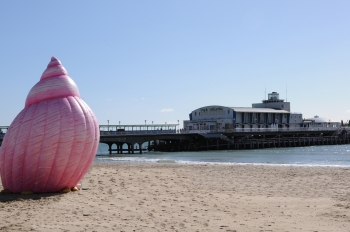 Image of a pink inflatable shell on a beach
