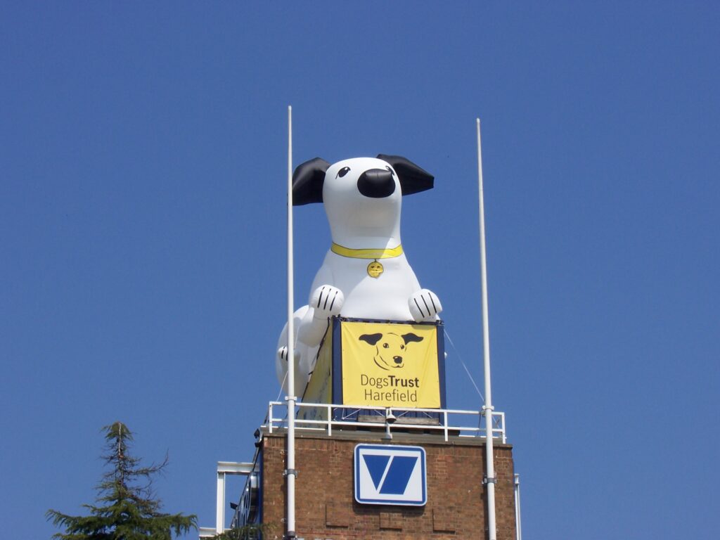 Dogs Trust Huge Inflatable on top of building