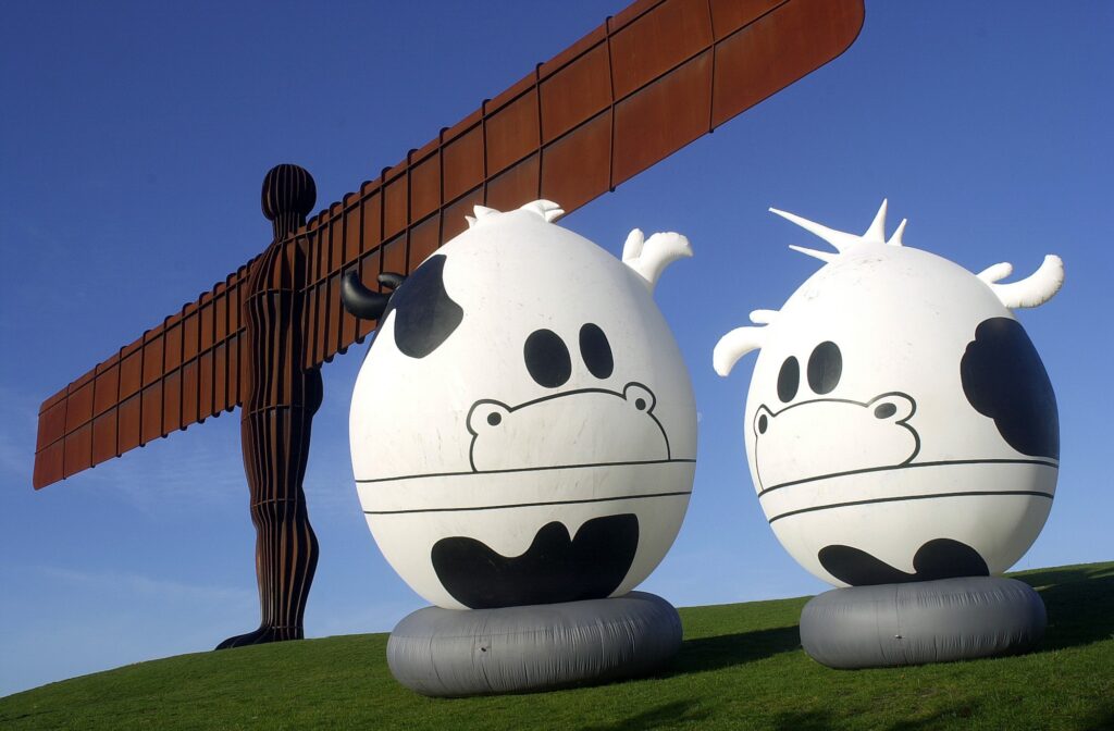 cow inflatable